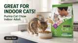 Best Cat Chow For The Best Healthy Weight